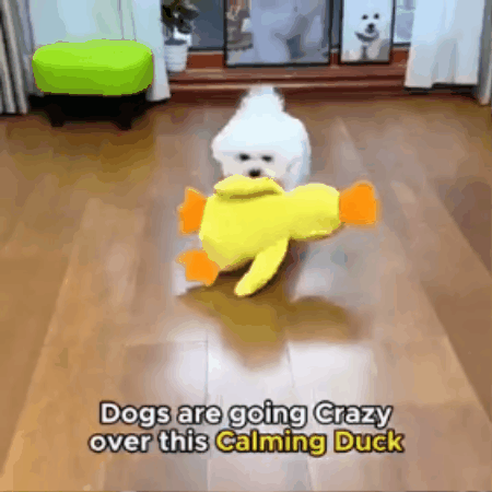 QuackBuddy Plush Duck Toy