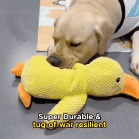 QuackBuddy Plush Duck Toy