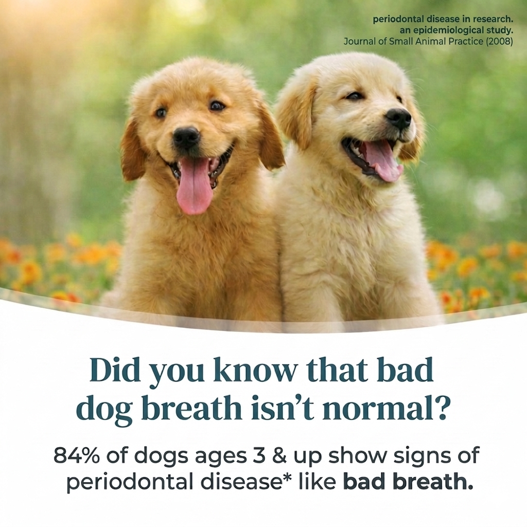 CheerfulPaws Brush Free Pet Dental Spray Water Additive Breath Freshener & Teeth Cleaning Solution