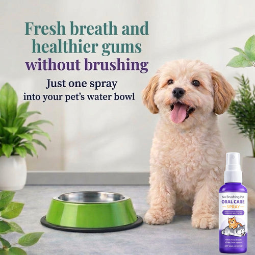 CheerfulPaws Brush Free Pet Dental Spray Water Additive Breath Freshener & Teeth Cleaning Solution