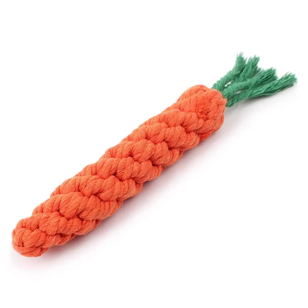 CrunchCarrot Chew Toy