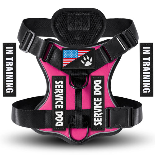 CheerfulPaws Dog Harness Vest - Adjustable, Reflective, with 5 Removable Patches