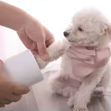 CheerfulPaws Dog Paw Cleaner