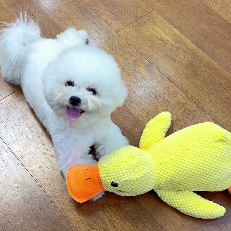 QuackBuddy Plush Duck Toy