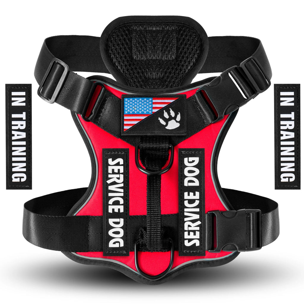CheerfulPaws No-Pull Dog Harness Vest (Adjustable & Reflective)