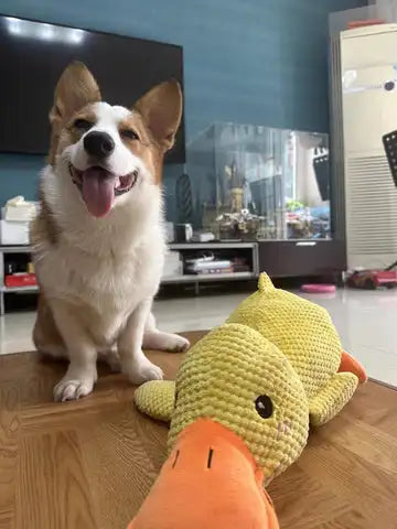 QuackBuddy Plush Duck Toy