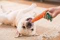 CrunchCarrot Chew Toy