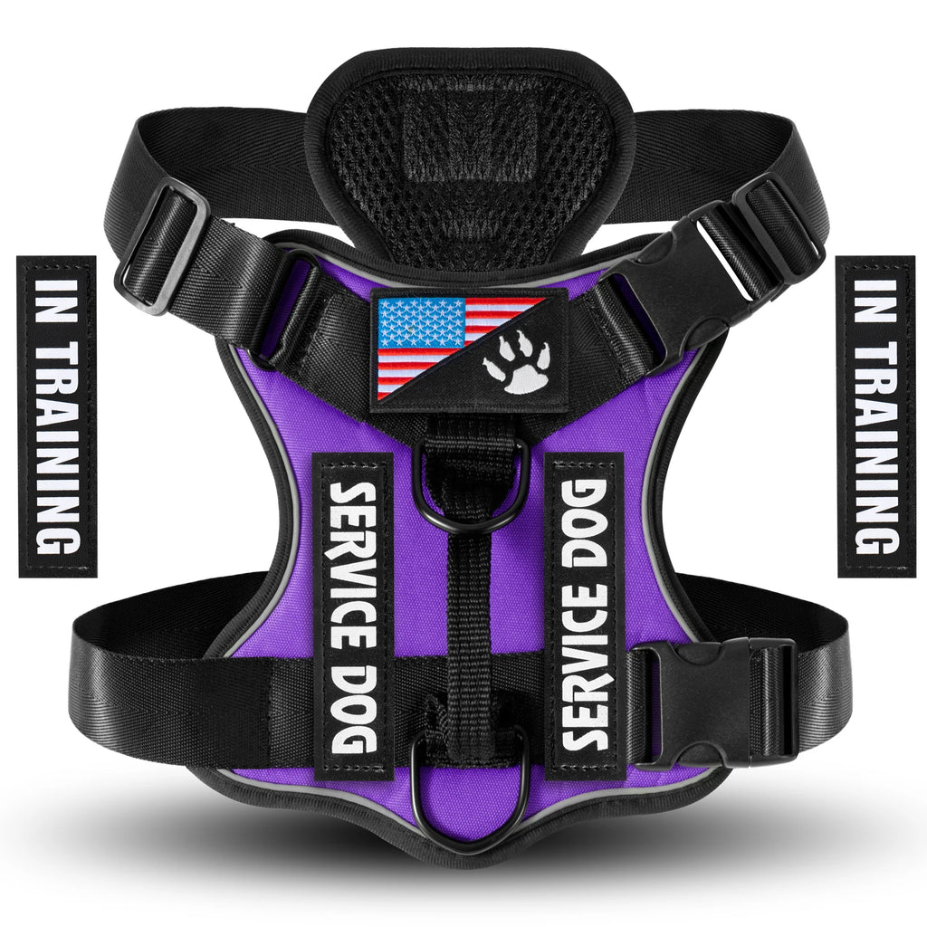 CheerfulPaws No-Pull Dog Harness (Adjustable & Reflective)