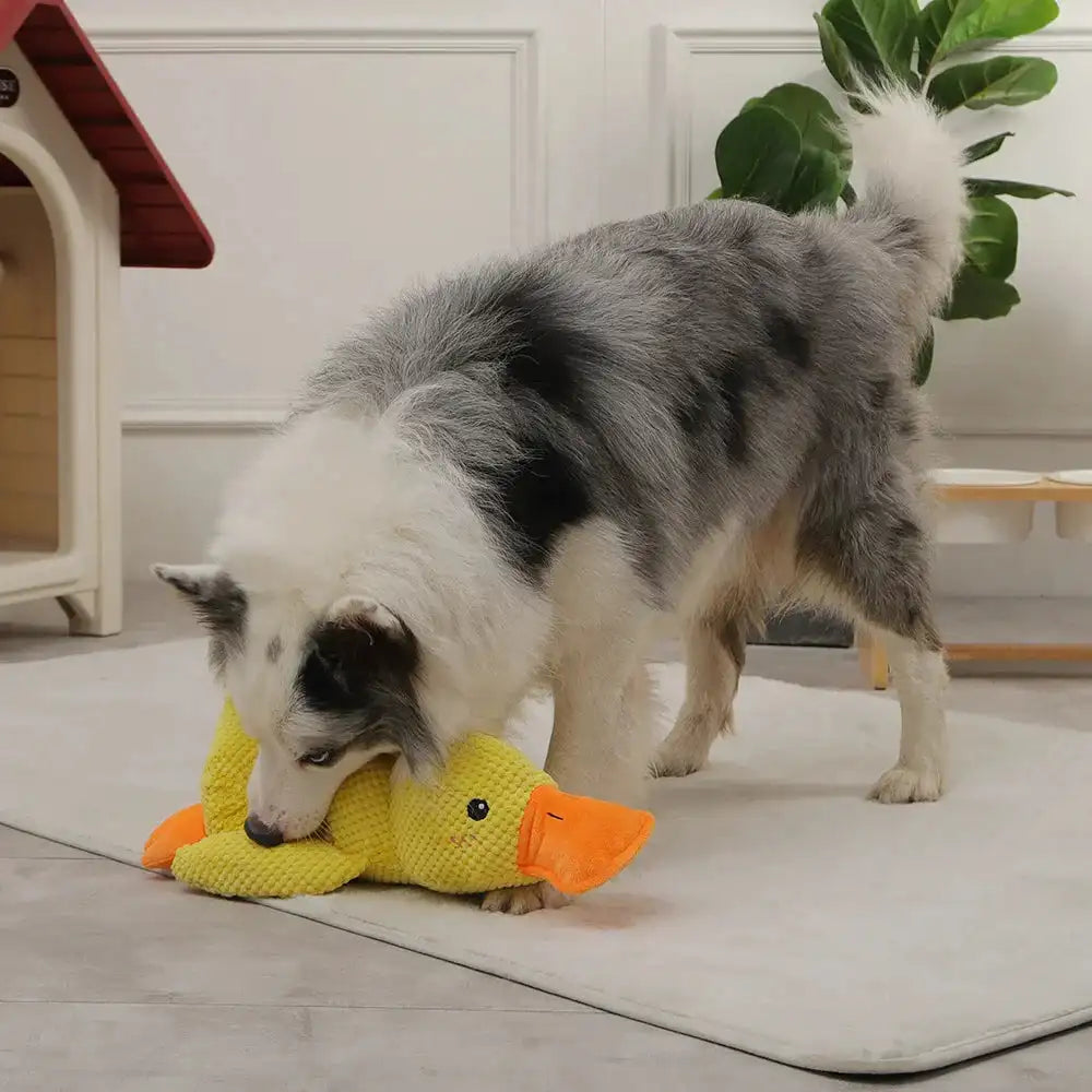 QuackBuddy Plush Duck Toy