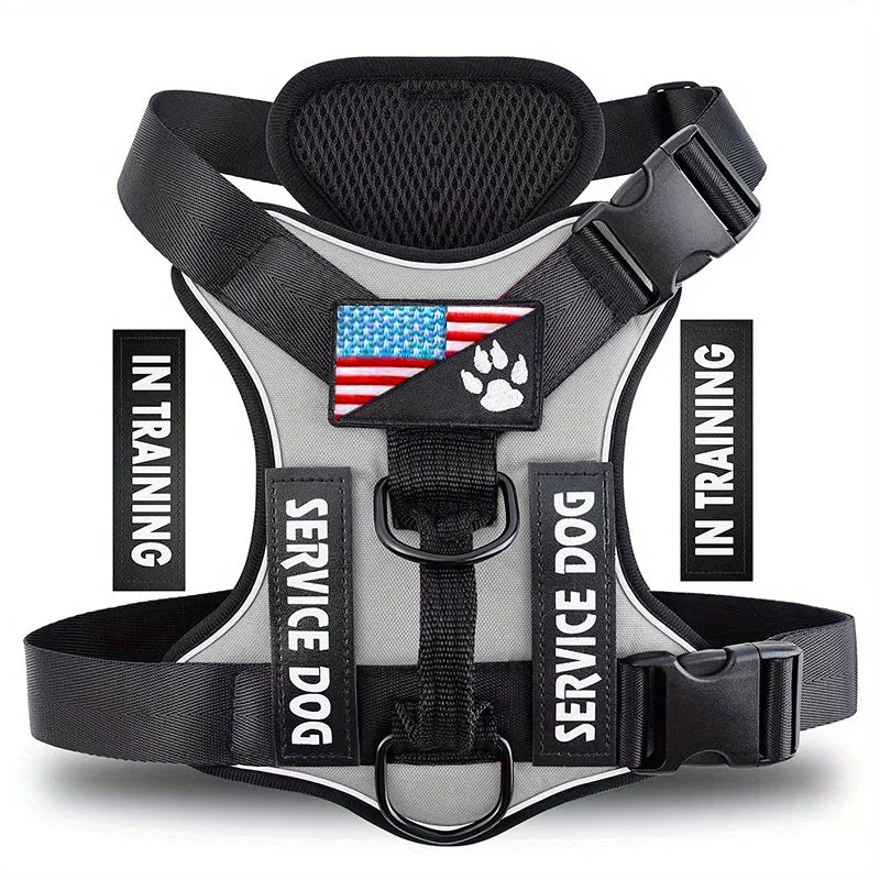 CheerfulPaws No-Pull Dog Harness (Adjustable & Reflective)