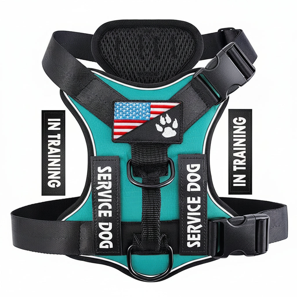 CheerfulPaws No-Pull Dog Harness (Adjustable & Reflective)