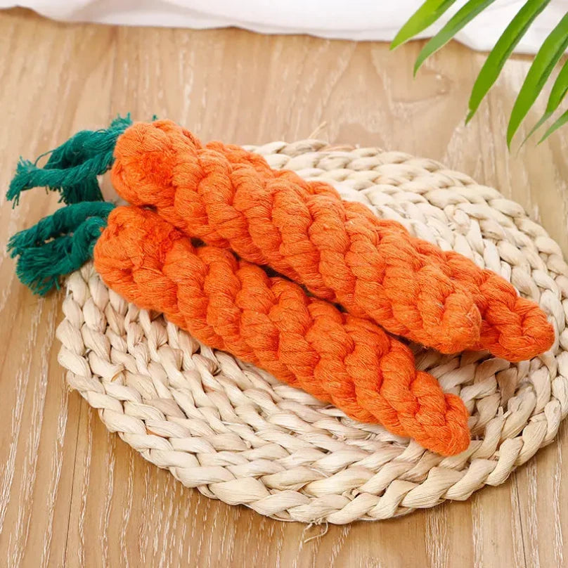 CrunchCarrot Chew Toy