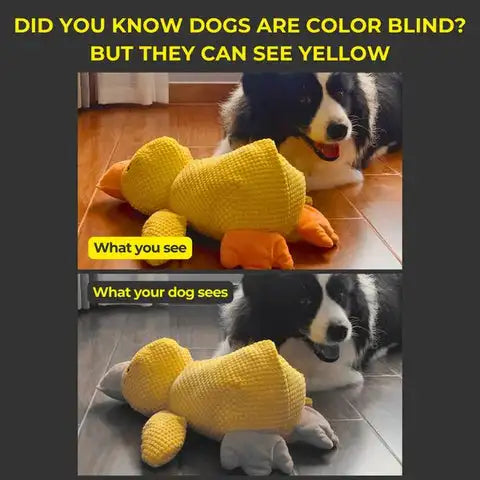 QuackBuddy Plush Duck Toy