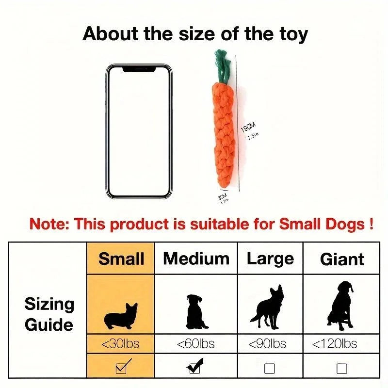 CrunchCarrot Chew Toy
